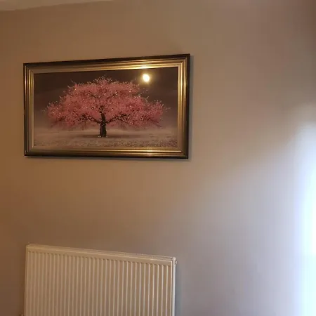 Guest house Highfields Living - Ensuite- Free Wifi- Free Local Parking Sheffield